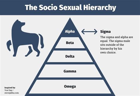 alpha beta and omega males|alpha beta sigma male chart.